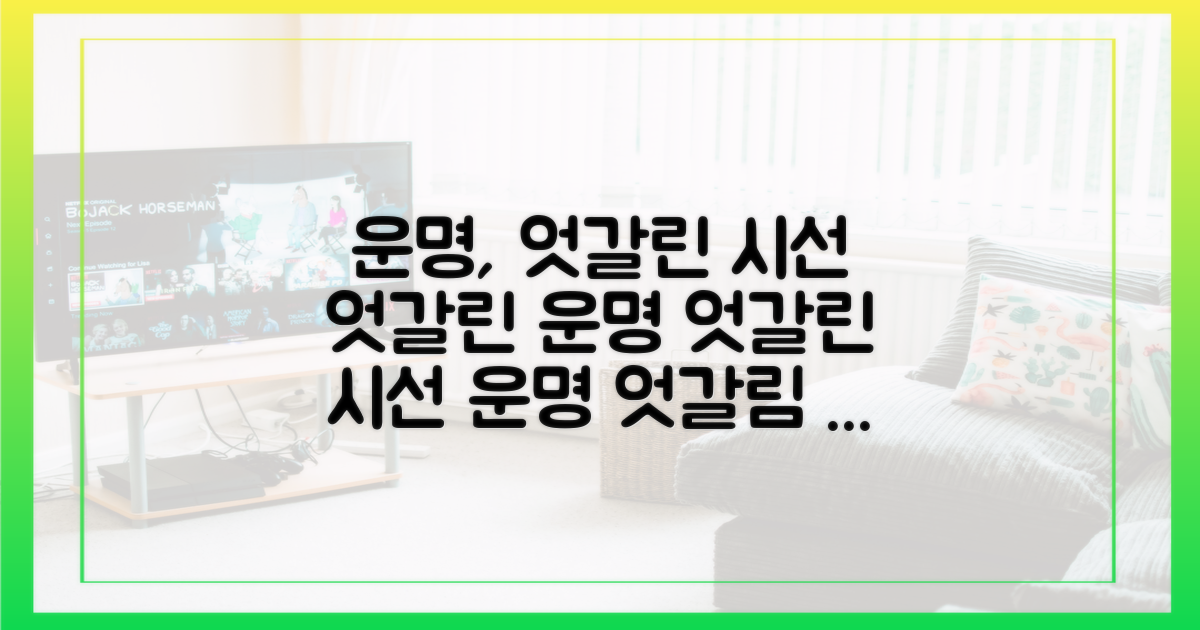 엇갈린 운명, 엇갈린 시선