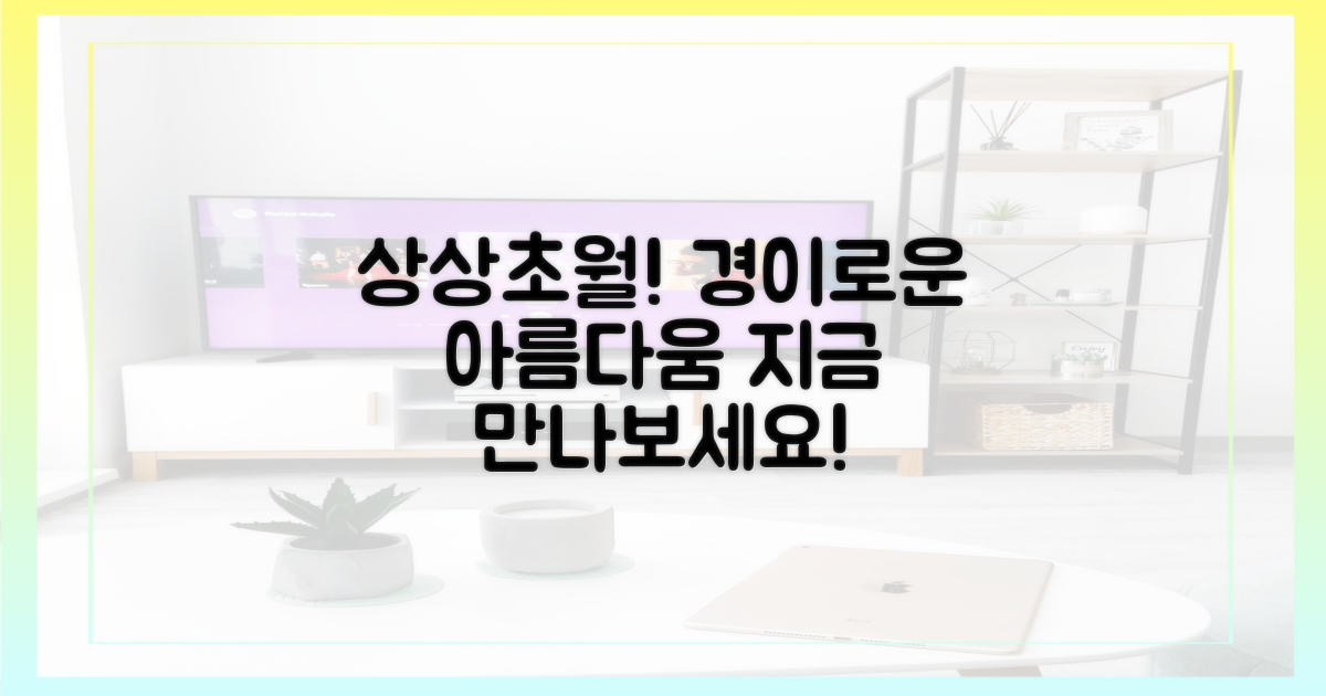 상상 그 이상의 아름다움을 만나보세요!