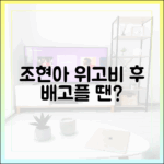 조현아 위고비 후, 배고플 땐 과자? 3가지 포인트