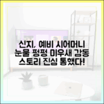 신지, 예비 시어머니 감동시킨 이유 (미우새