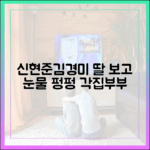 주말부부 신현준♥김경미, 딸에 눈물 펑펑! (각집부부