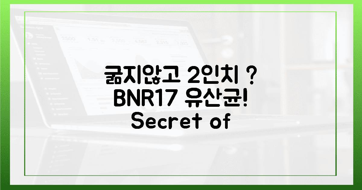 굶지 않고 2인치 감소? BNR17 유산균의 비밀