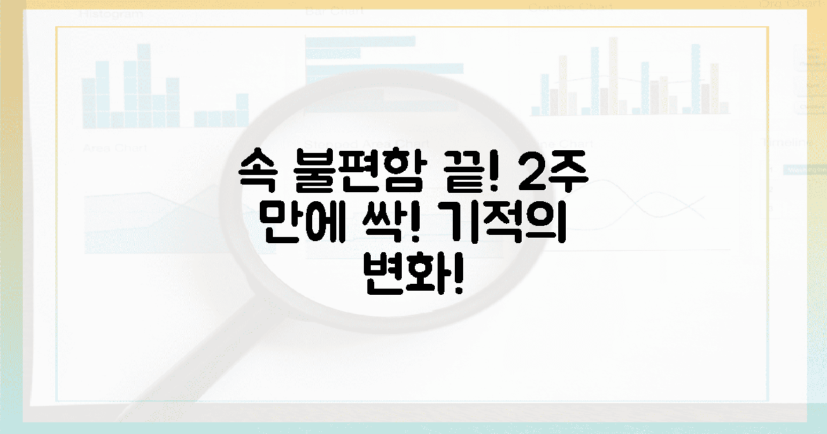 속 불편함, 2주 만에 달라지는 놀라운 경험!