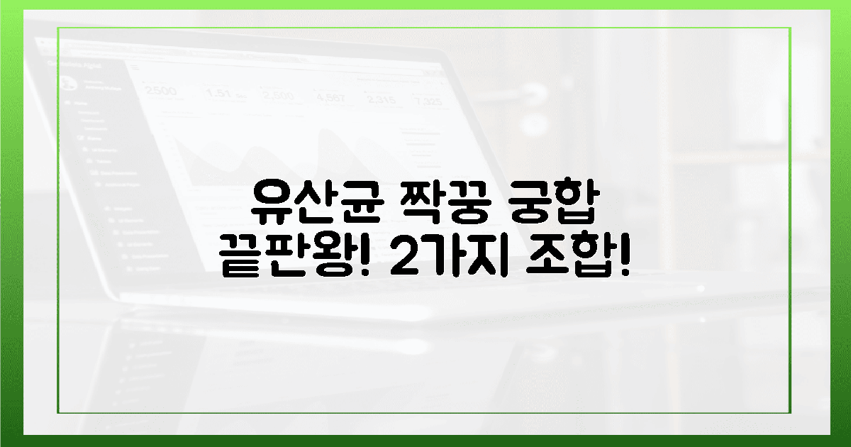 🚀유산균 섭취, 찰떡궁합 짝꿍 2가지