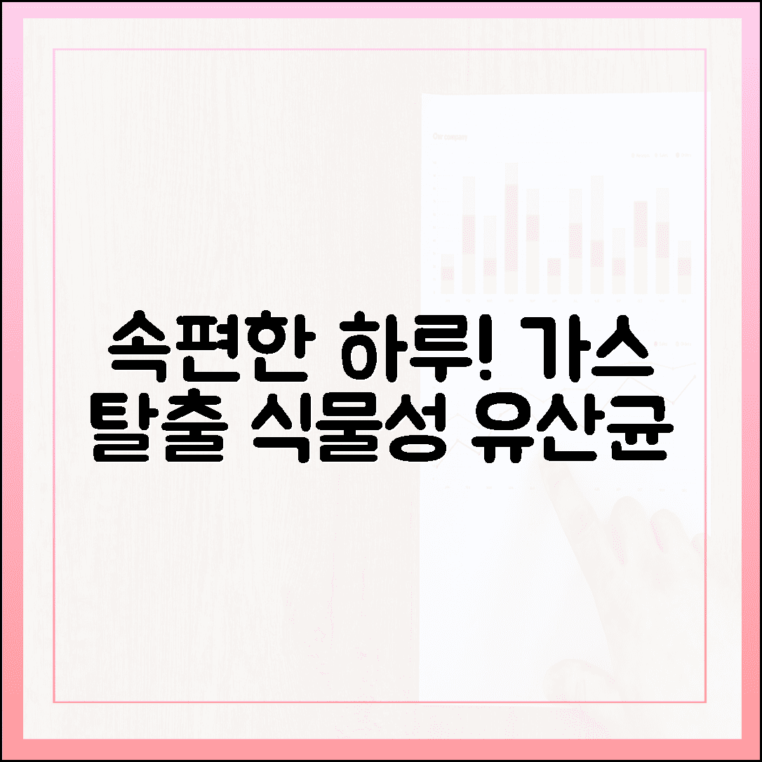 가스 차는 배 때문에 고민이라면? 속 편한 하루를 선물한 식물성 유산균 체험기