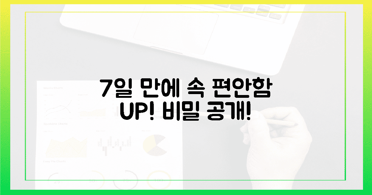속 편안함 7일 만에 체감한 비밀