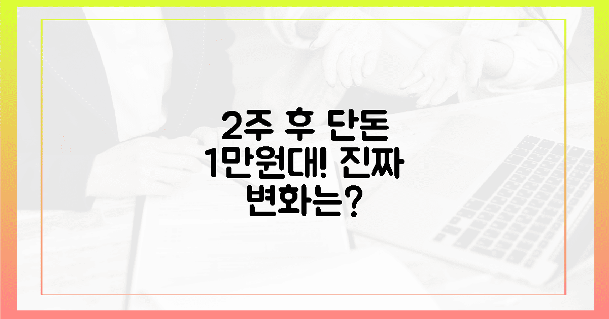 2주 후, 1만원대가 선사한 '진짜' 변화