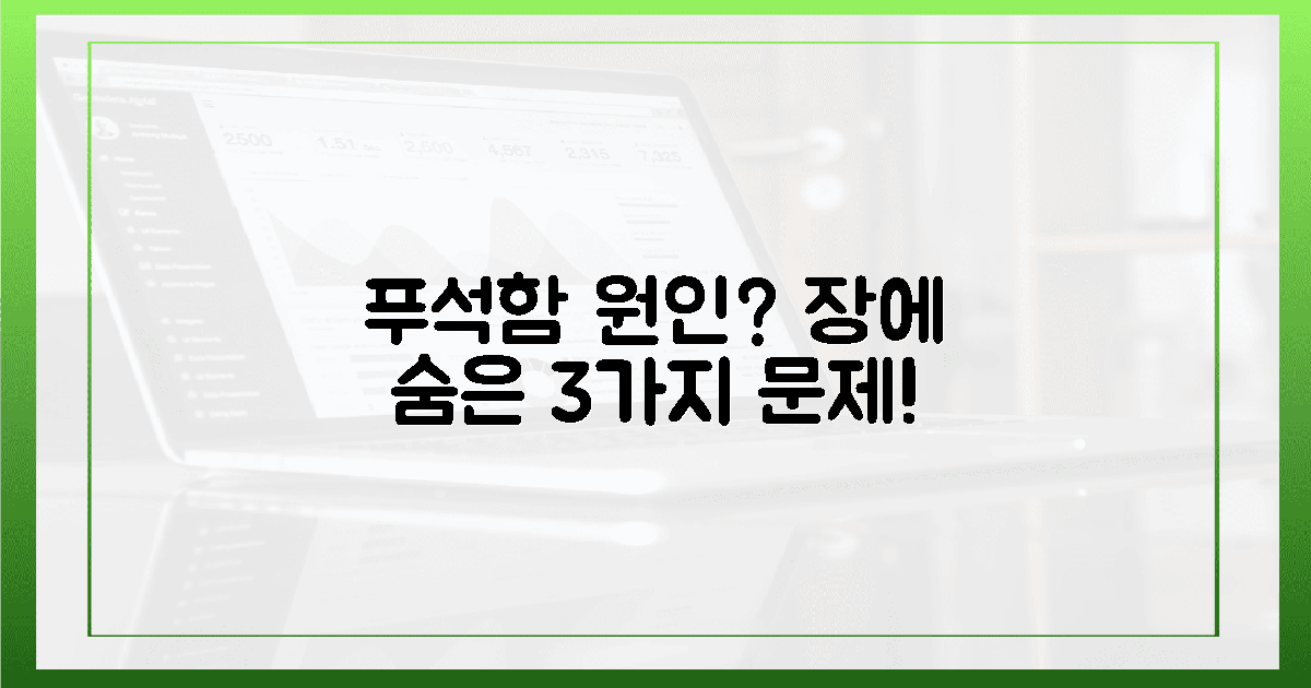 푸석함의 진짜 원인? 3가지 장 문제!