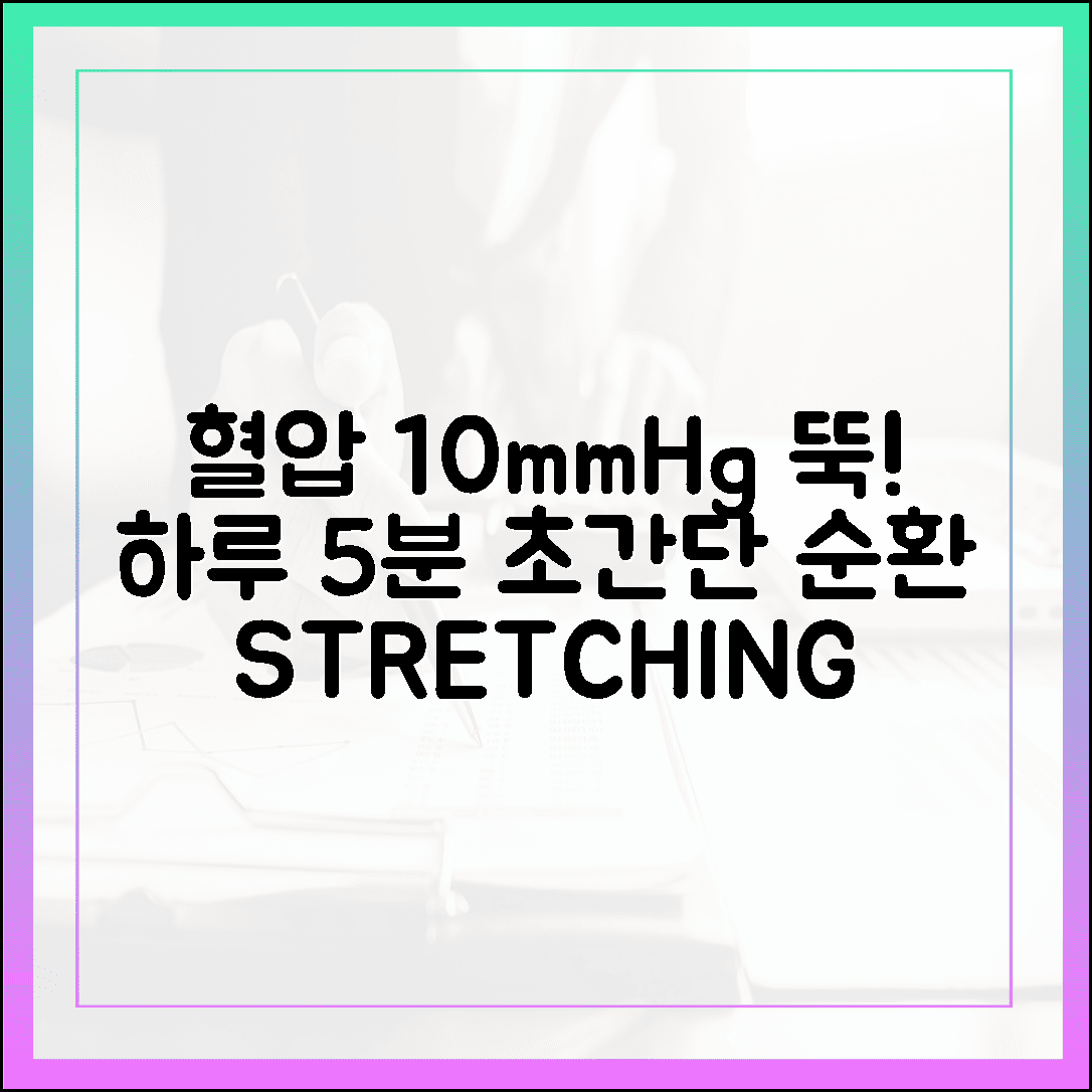하루 5분 투자로 혈압 10mmHg 뚝! 누구나 집에서 따라 하는 초간단 순환 스트레칭