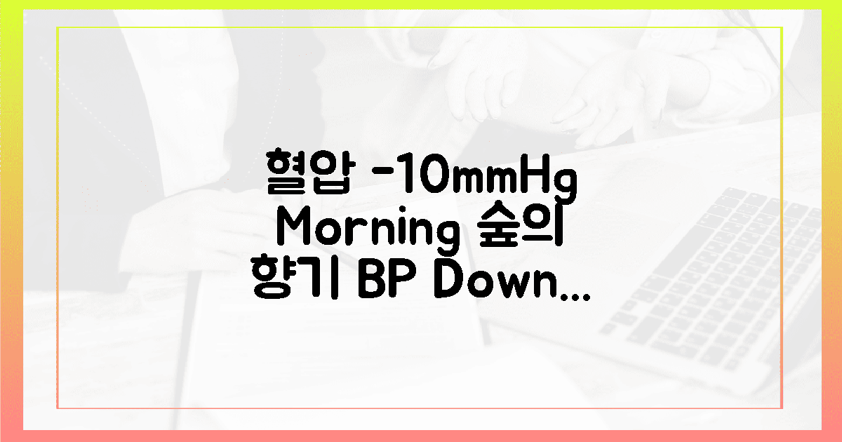 수축기 10mmHg 낮춘 아침 숲길의 향기